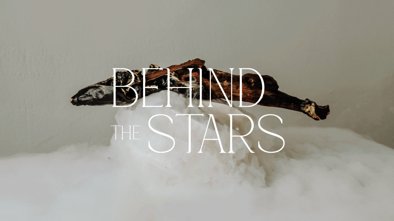 Gastronomía, Cultura y personas, Un homenaje a las estrellas